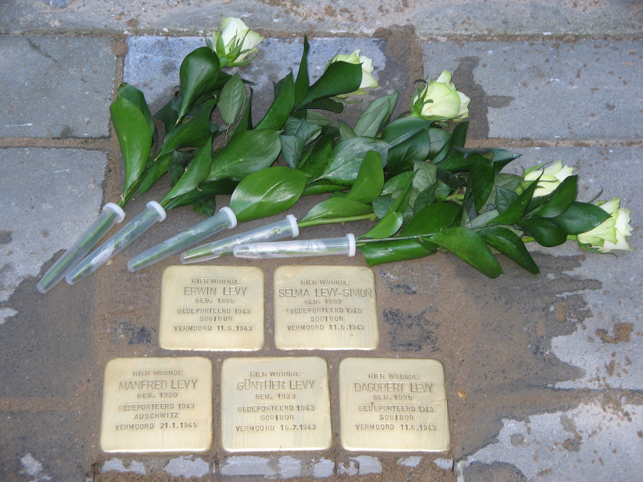 In 2012 werden voor de voormalige woning van Erwin Levy en zijn gezin, Stolpersteine geplaatst.