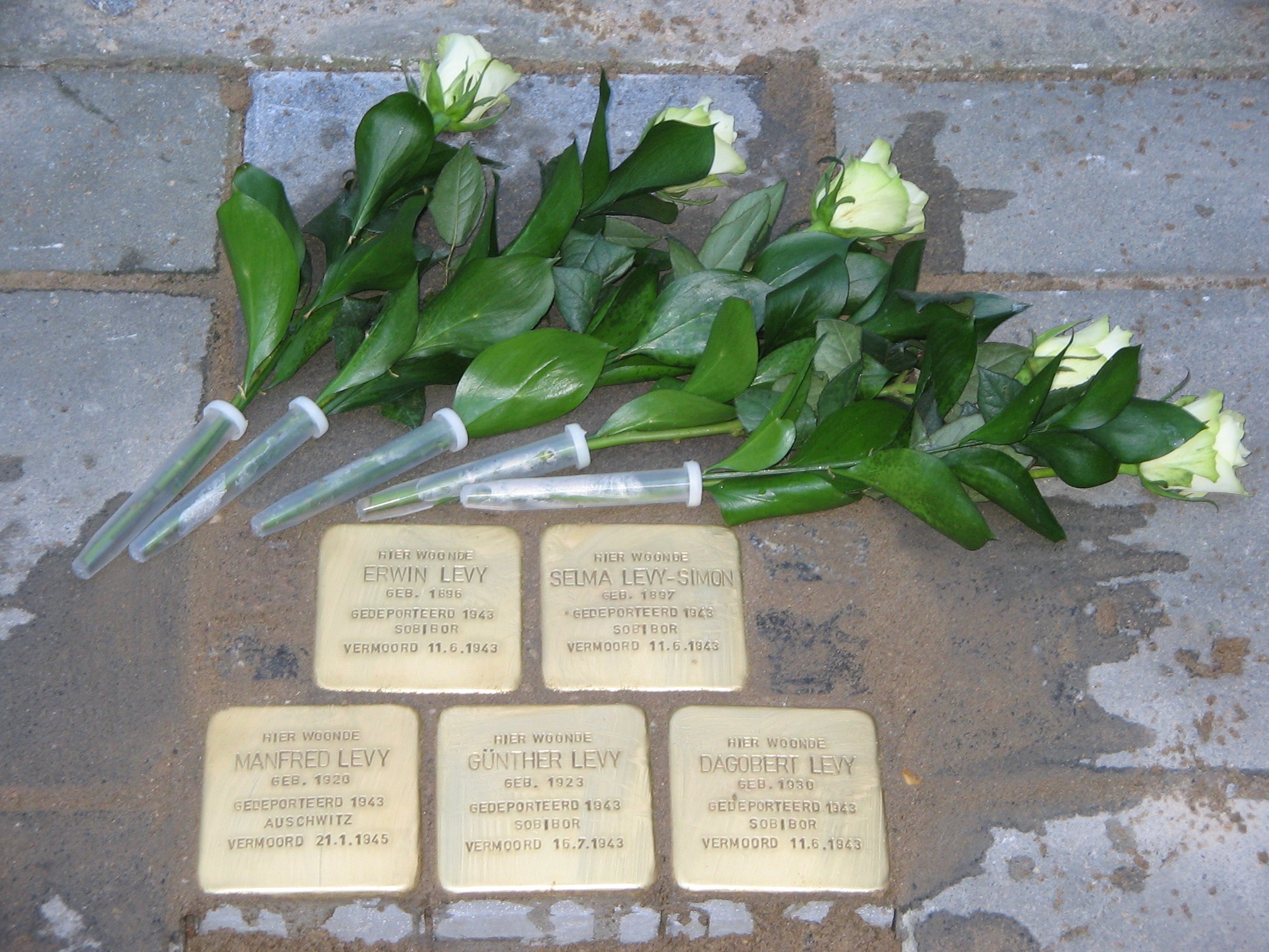 In 2012 werden voor de voormalige woning van Erwin Levy en zijn gezin, Stolpersteine geplaatst.