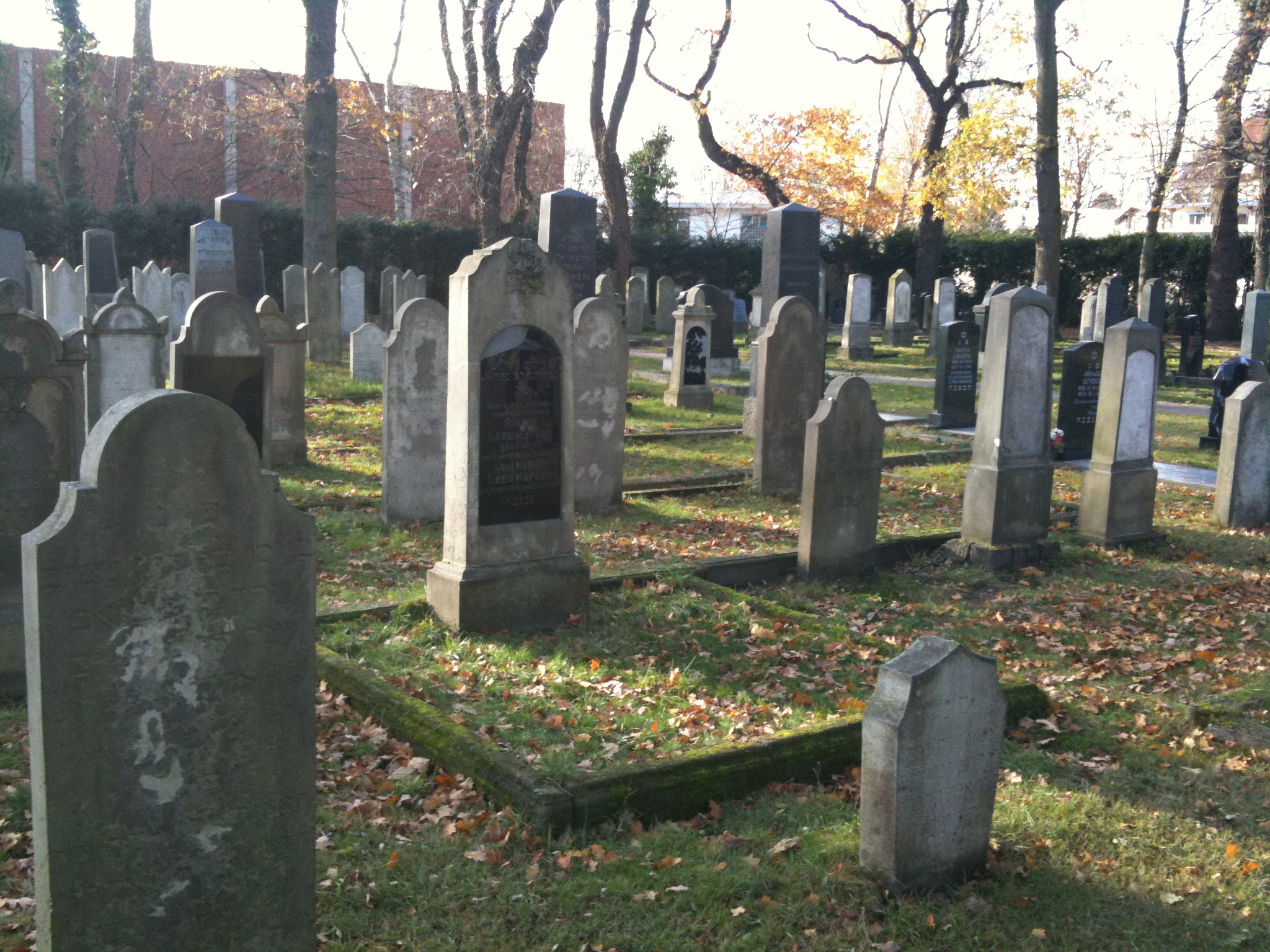Impression of the very part of the Jewish cemetery in Delmenhorst, where several of my ancestors are buried.